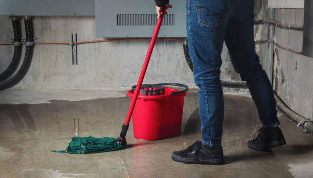 Best Professional water damage repair  in State College, PA