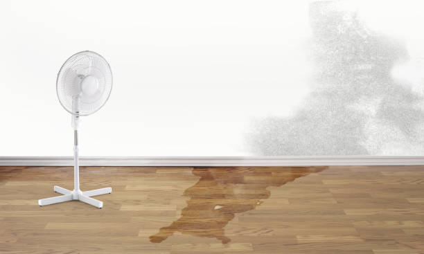 State College, PA Water damage restoration Company