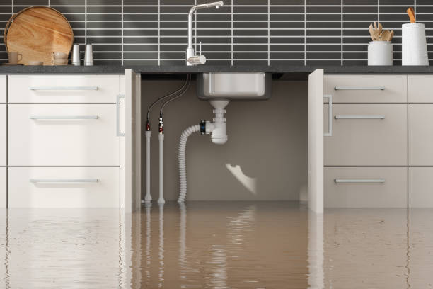 Best Basement water damage restoration  in State College, PA