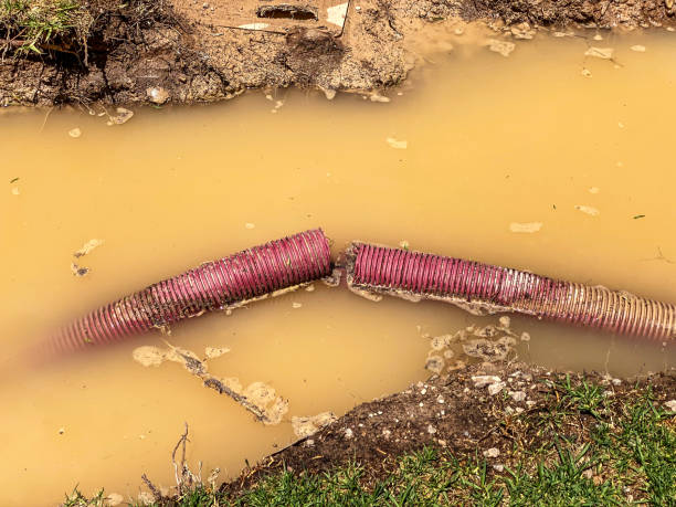 Best Commercial water damage restoration  in State College, PA