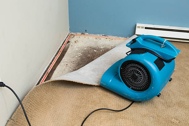  State College, PA Water damage restoration Pros